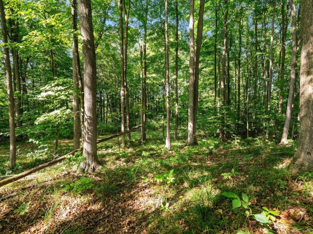 Land for sale in Michigan