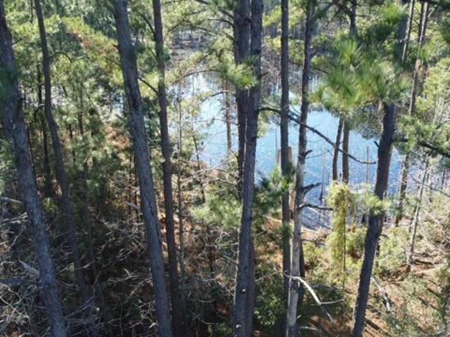 Land for sale in Moncks Corner Land for sale in Moncks Corner