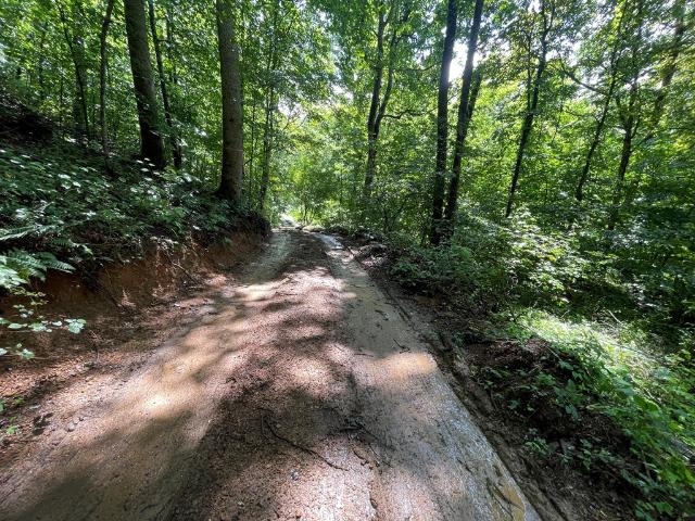 Land for sale in Virginia