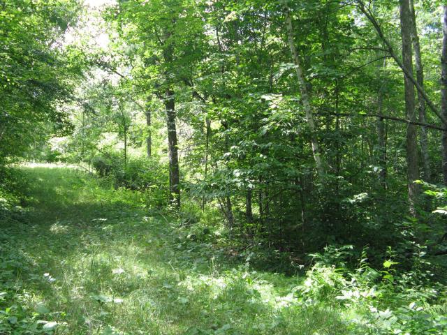 Land for sale in Crosslake, Minnesota