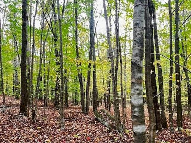 Land for sale in Andes, New York