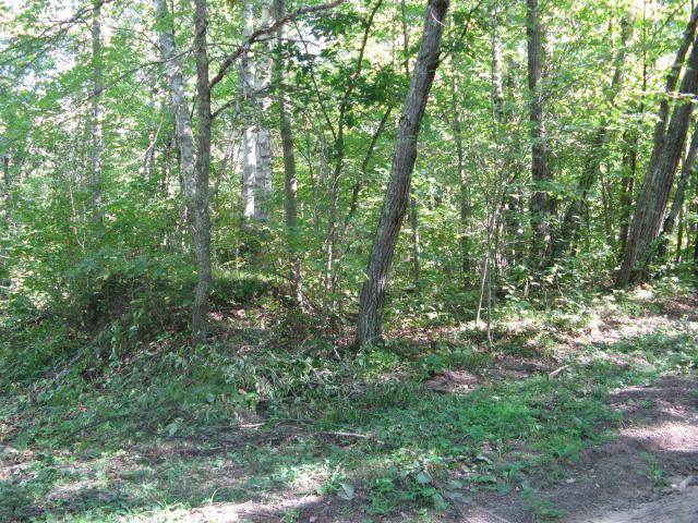 Land for sale in Breezy Point, Crow Wing County