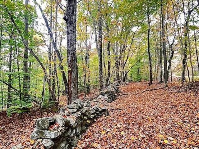 Land for sale in Town of Bovina, Town of Andes