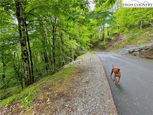 Land for sale in Watauga, North Carolina
