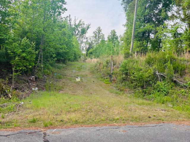 Land for sale in Chatham, North Carolina