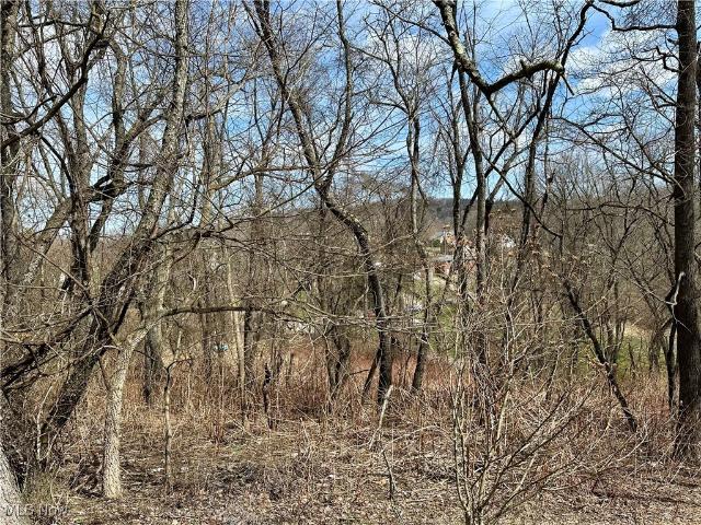 Land for sale in Colliers, West Virginia