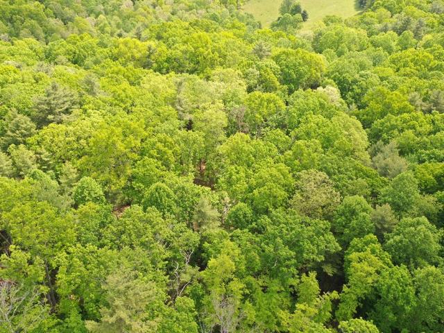 Land for sale in Virginia