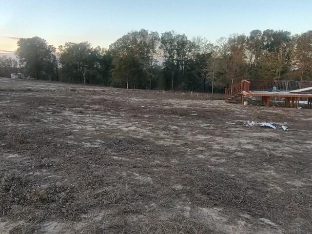 Land for sale in Dale, Alabama