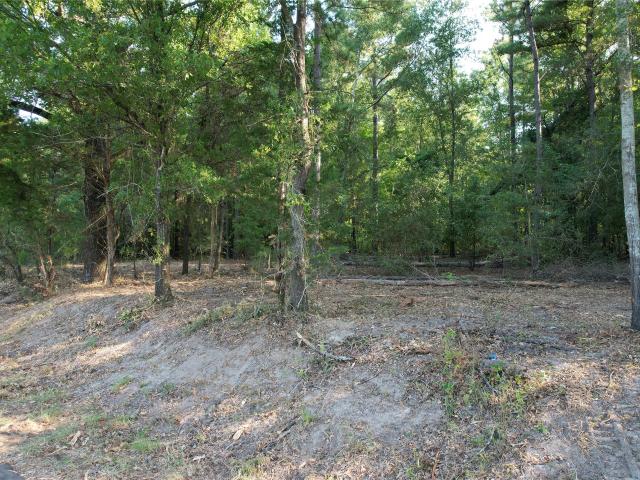 Land for sale in Grapeland, Texas