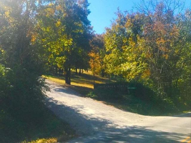 Land for sale in Stone, Missouri