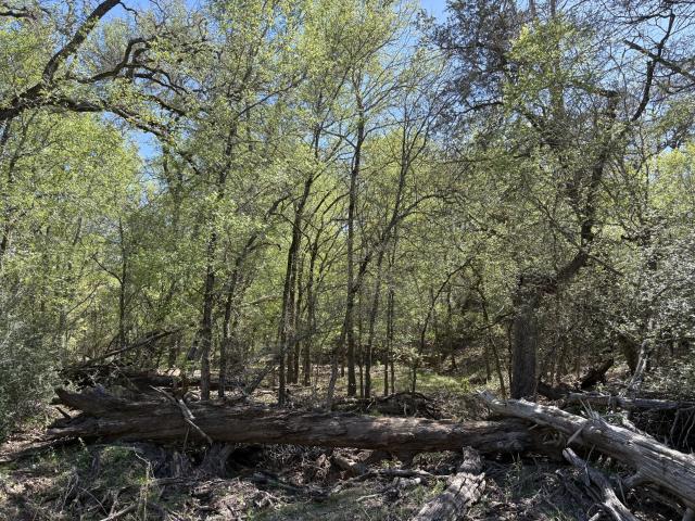 Land for sale in Flatonia, Texas