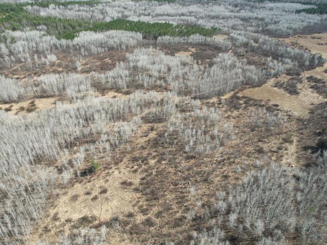 Land for sale in Wadena, Minnesota