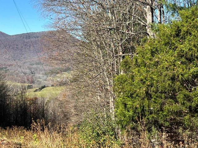 Land for sale in Virginia