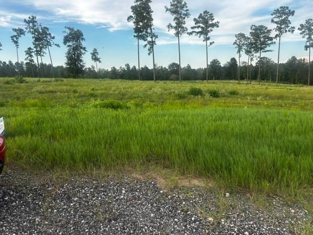 Land for sale in Polk, Texas
