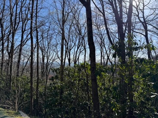 Land for sale in Virginia