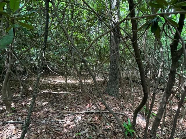 Land for sale in Virginia