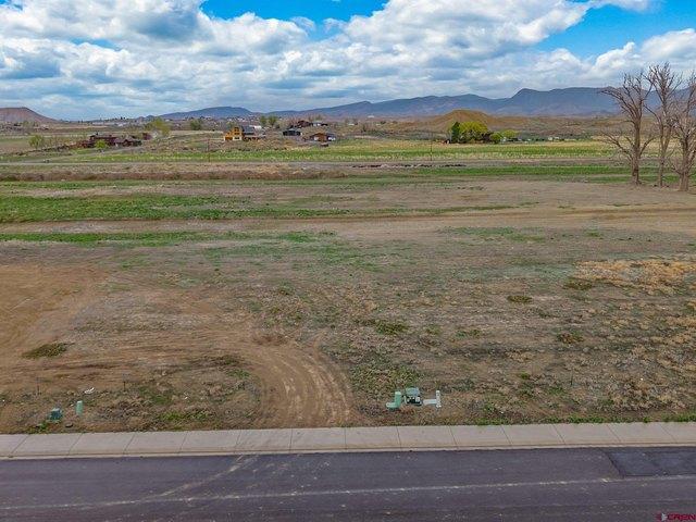 Land for sale in Montrose, Colorado