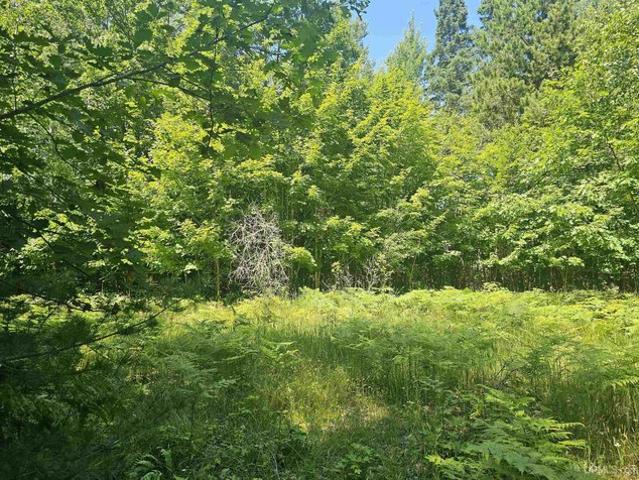 Land for sale in Houghton, Michigan
