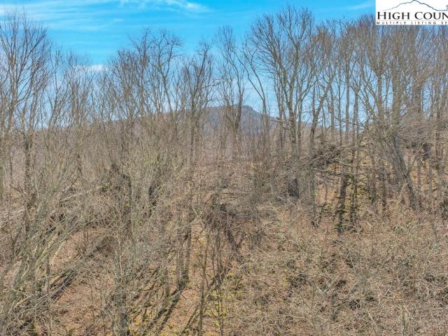 Land for sale in Avery, North Carolina