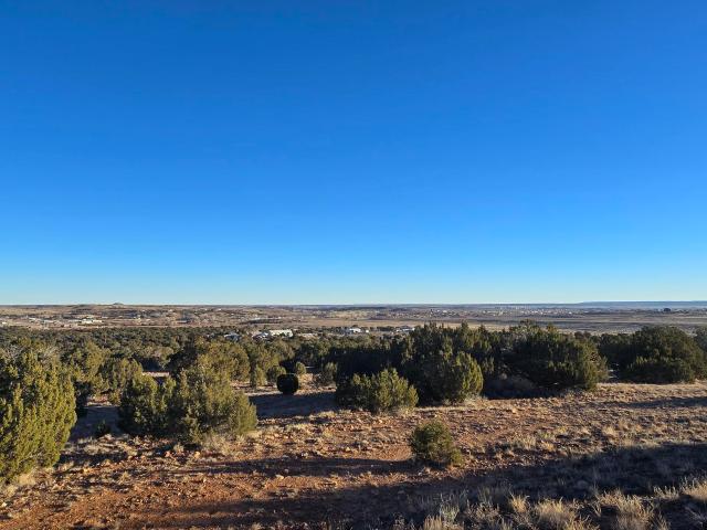 Farm for sale in Navajo, Arizona