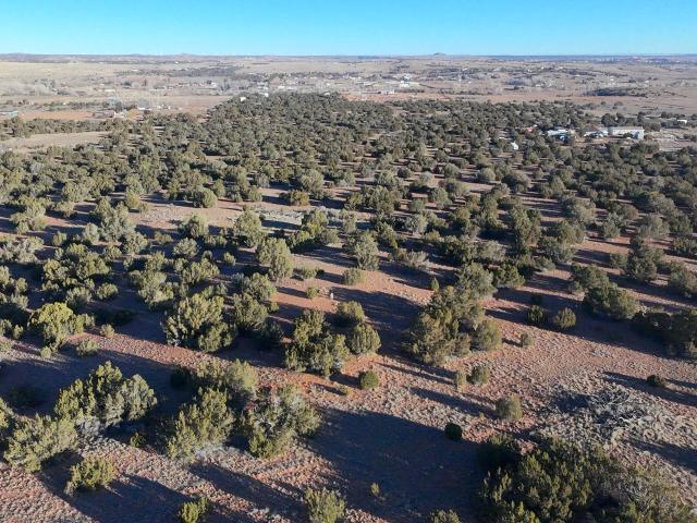 Farm for sale in Navajo, Arizona