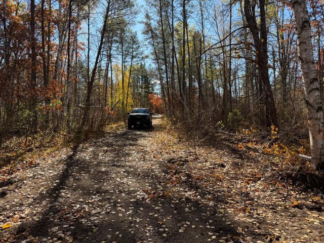 Land for sale in Pillager, Cass County
