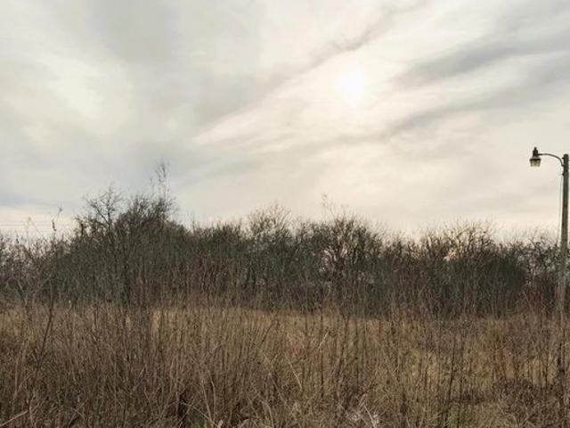 Land for sale in Williamson, Texas