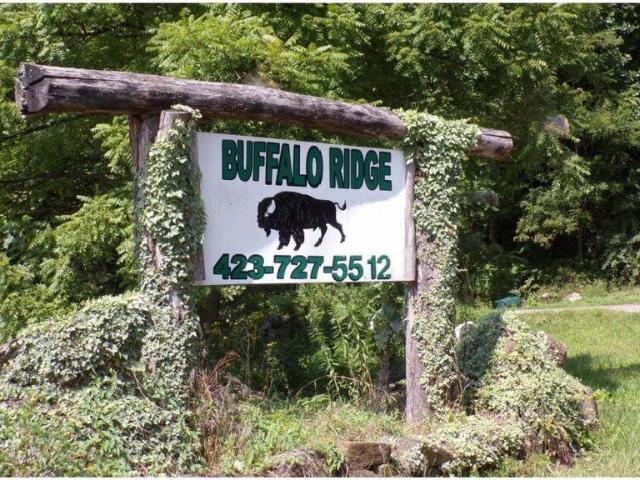 Land for sale in Mountain City, East Tennessee
