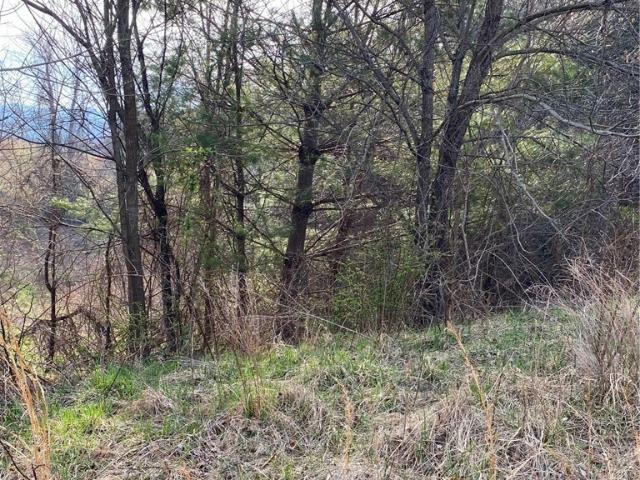 Land for sale in Alleghany, North Carolina