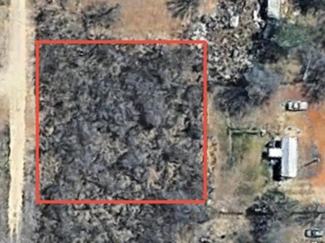 Land for sale in Christine, Texas