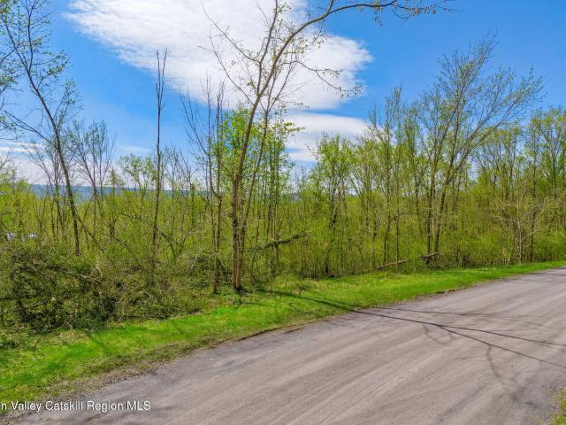 Land for sale in New York