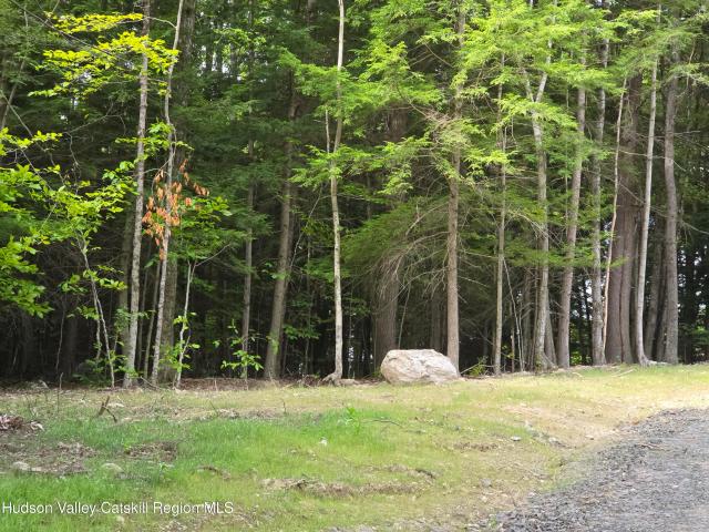 Land for sale in East Nassau, New York