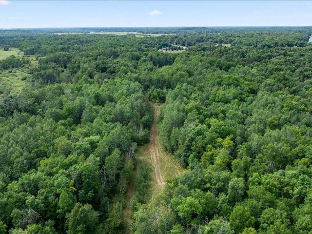 Land for sale in Morrison, Minnesota
