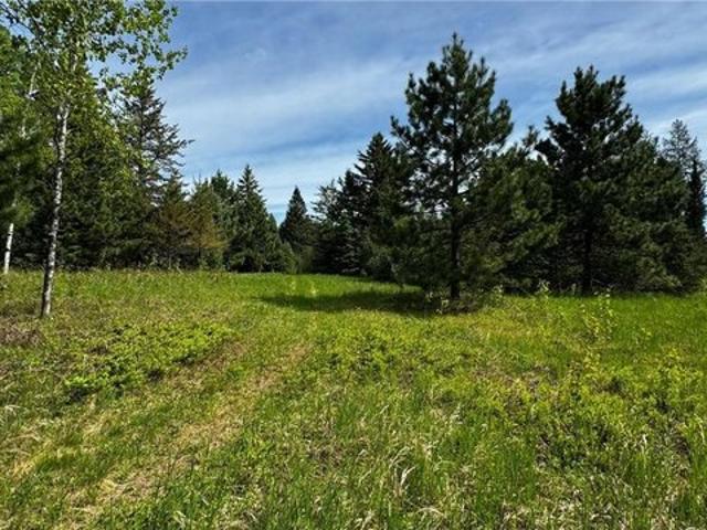 Land for sale in Virginia, Minnesota