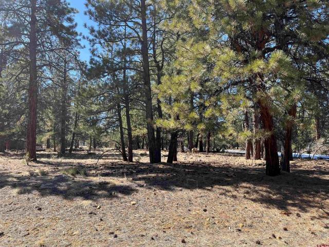 Land for sale in Ridgway, Colorado