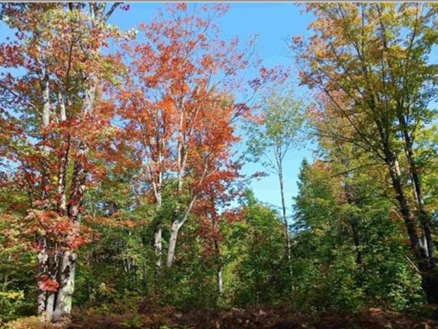 Land for sale in Houghton, Michigan