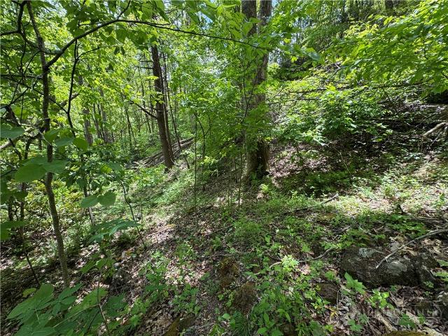 Land for sale in Avery, North Carolina