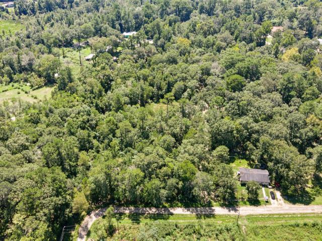 Land for sale in Shepherd, San Jacinto County