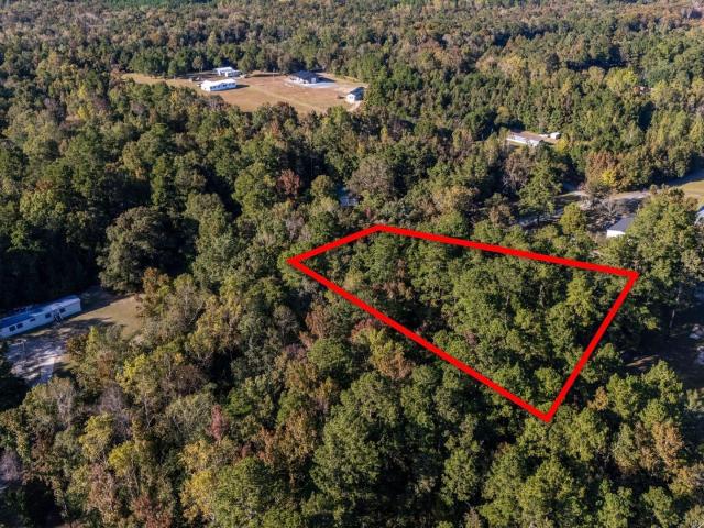 Land for sale in Andrews, South Carolina