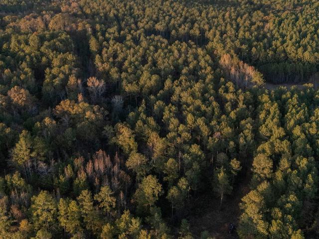 Land for sale in Edgefield, South Carolina