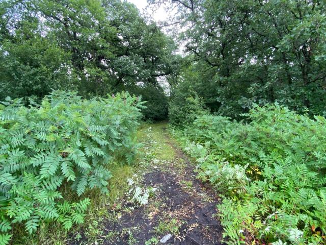 Land for sale in Underwood