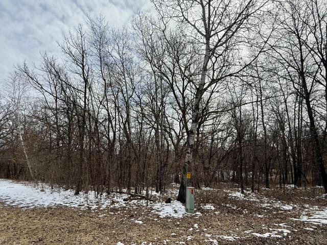 Land for sale in Todd, Minnesota