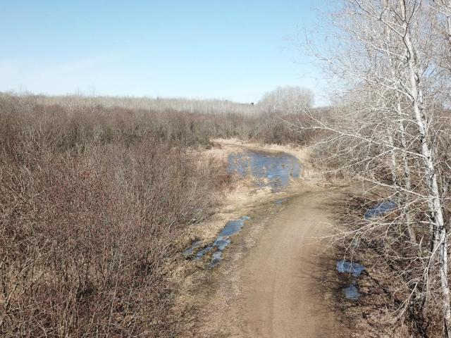 Land for sale in Morrison, Minnesota