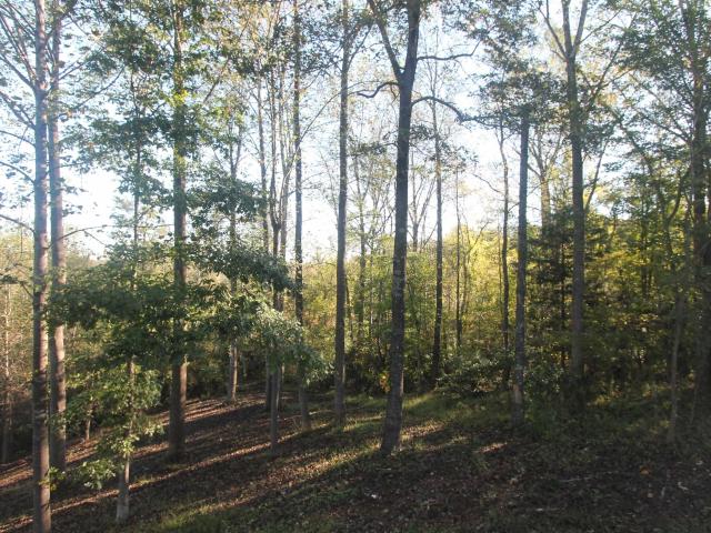 Land for sale in Virginia