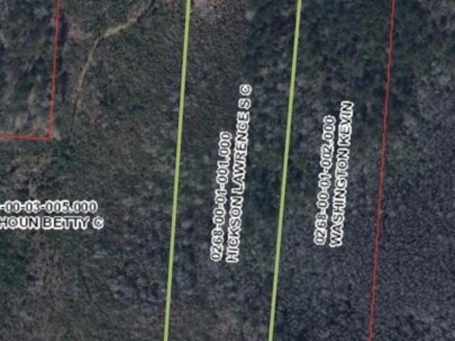 Land for sale in Bowman