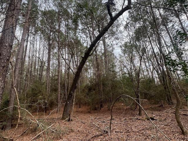 Land for sale in Polk, Texas