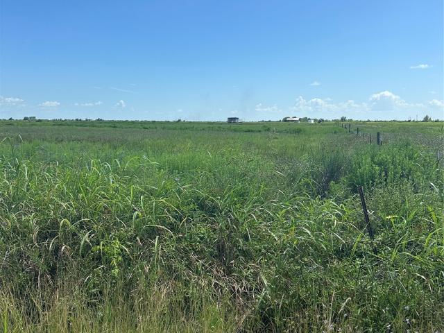 Land for sale in Eagle Lake, Texas