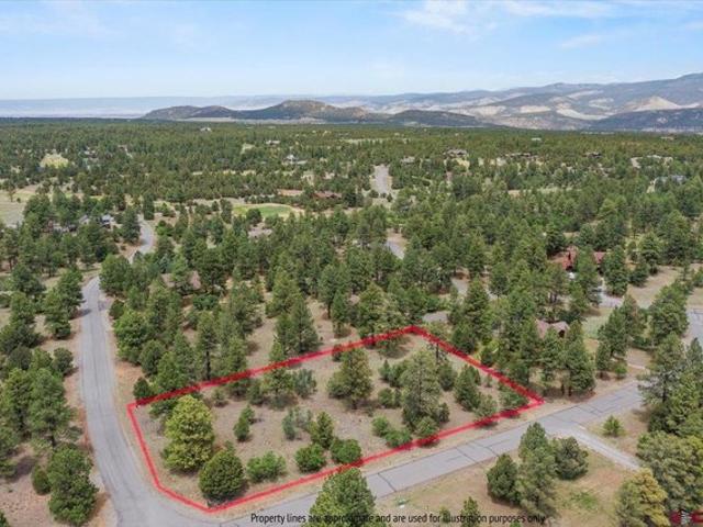 Land for sale in Ridgway, Colorado