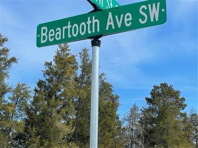 Land for sale in Beltrami, Minnesota