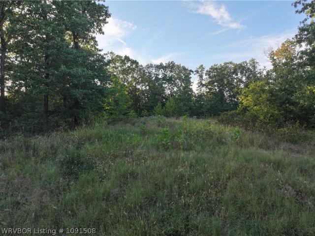 Land for sale in Ark